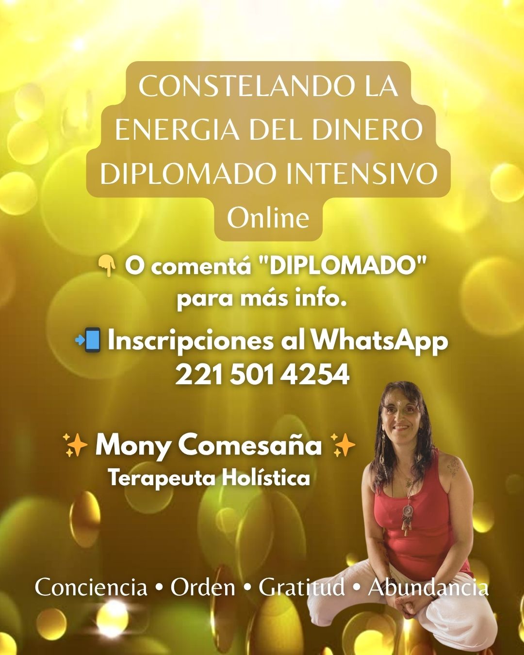 Diplomado La Energía del Dinero y Abundancia - Mony Comesaña