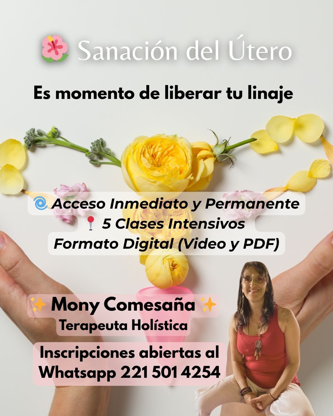 Taller Sanación del Útero y Linaje Ancestral - Mony Comesaña