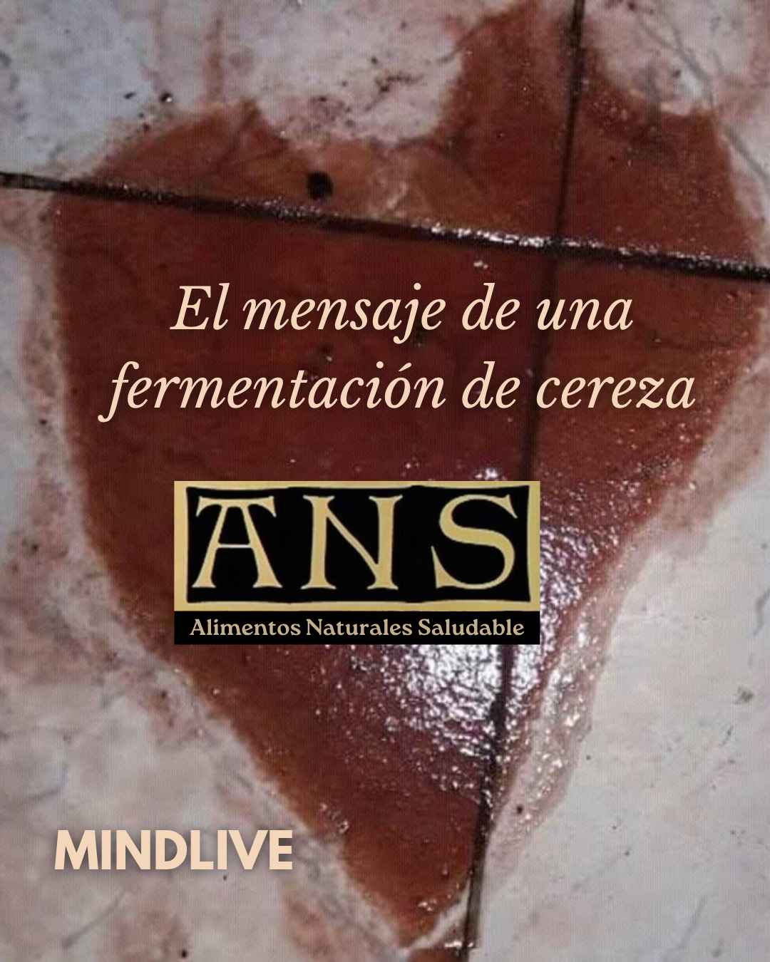 Corazón ANS