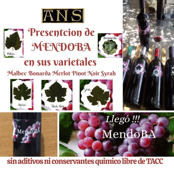 Vinos de Uva