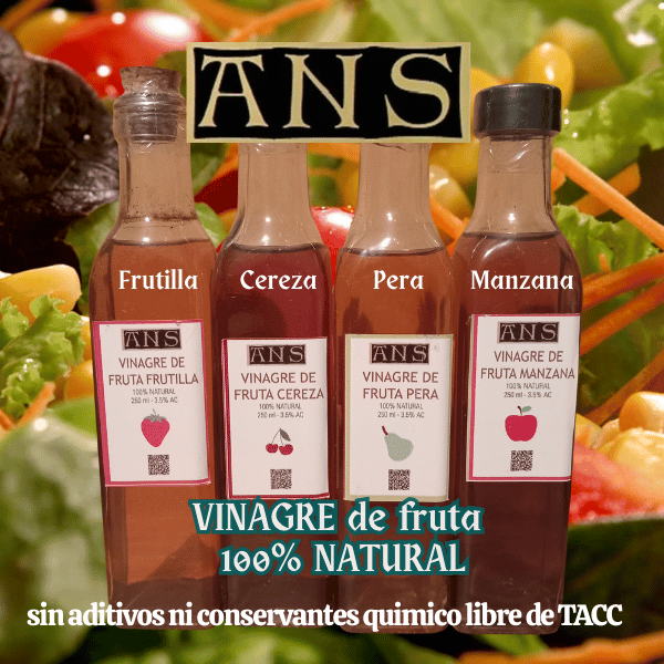 Vinagres Orgánicos Manzana Pera Frutilla Cereza Goji Papaya
