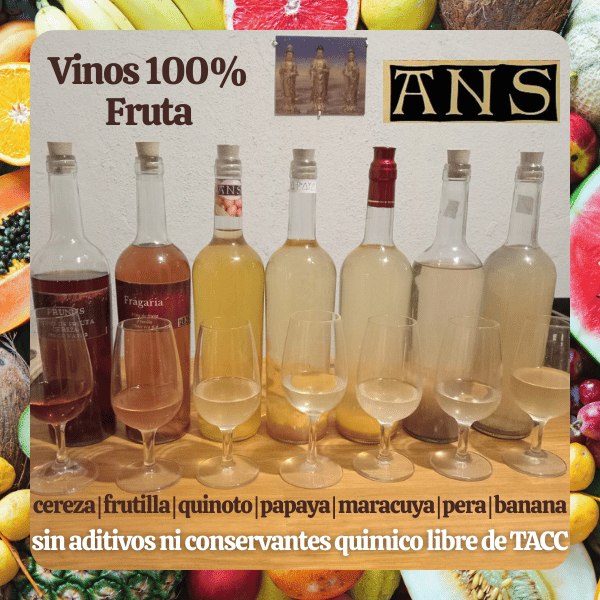 Vinos de Fruta